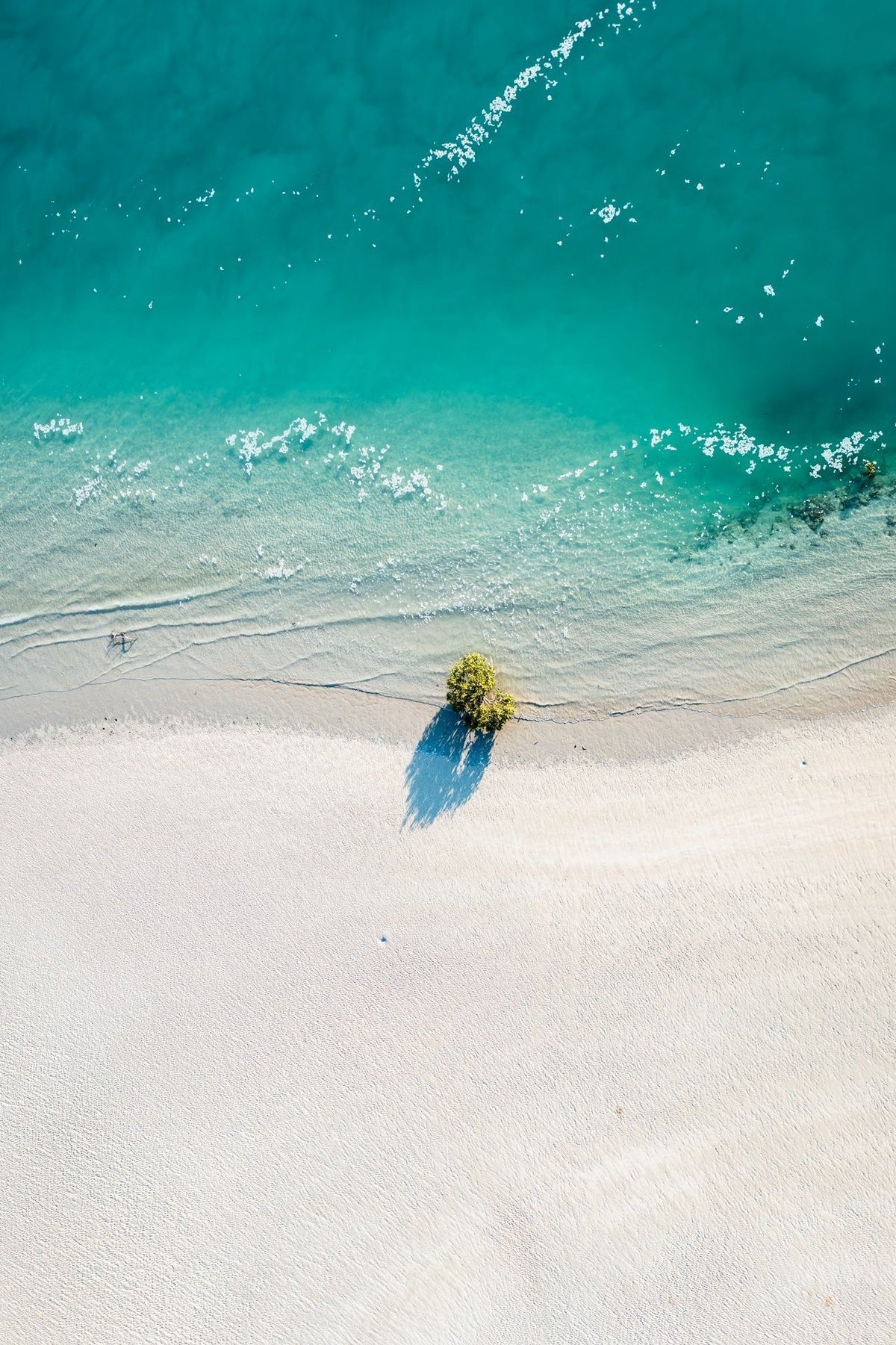 The Beach, up close