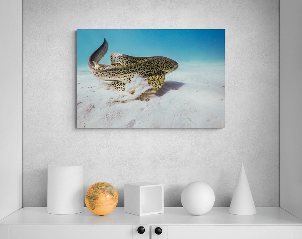 The Beauty — limited-edition art print by Anouska Freedman — view 4 in a room