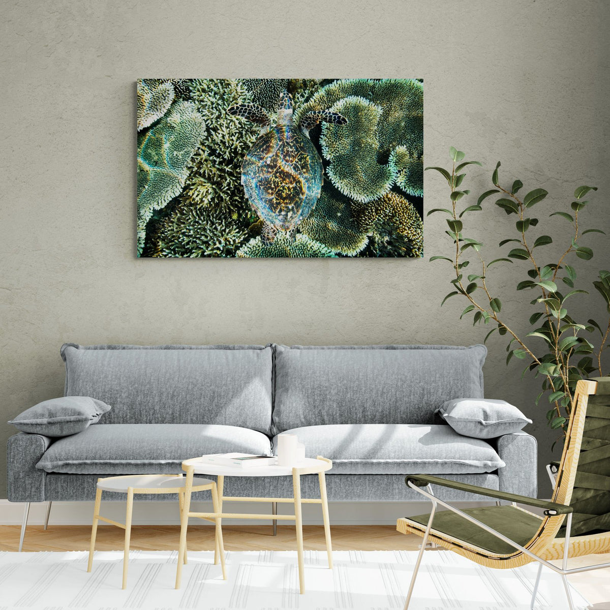 Sea turtle art print — The Beauty by Paul Hilton — in a room setting, view 2 in a room
