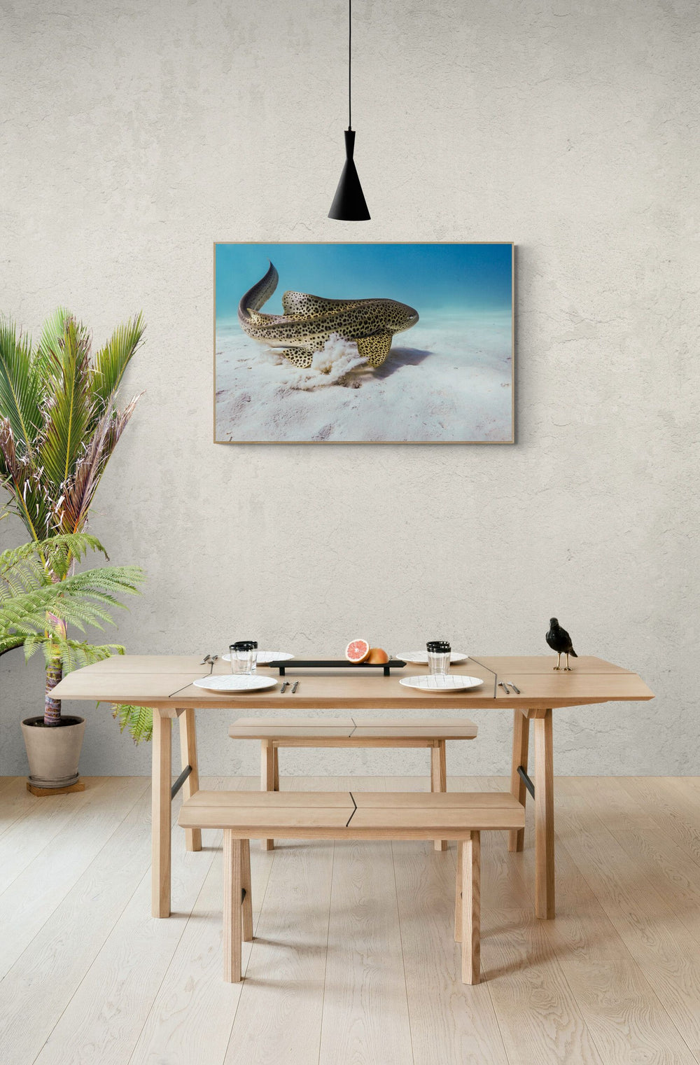 The Beauty in a room