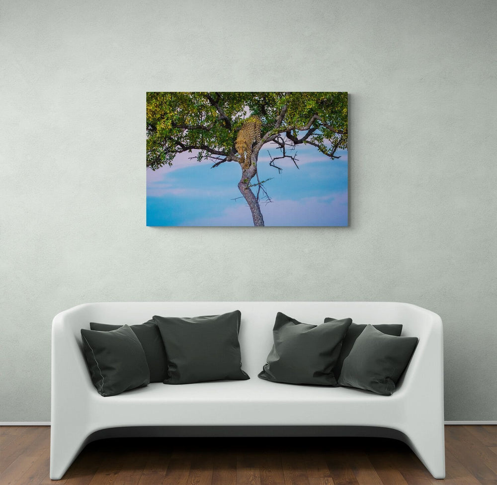 Leopard art print — The Bee Line by Shannon Wild — view 4 in a room