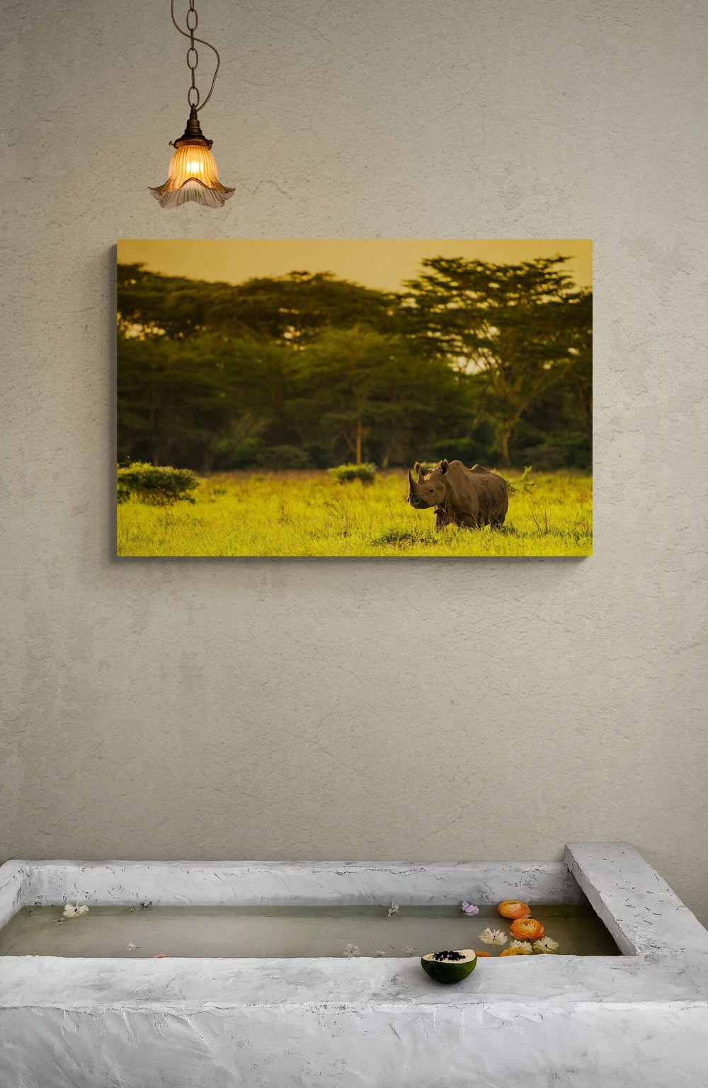 The Black Rhino in a room