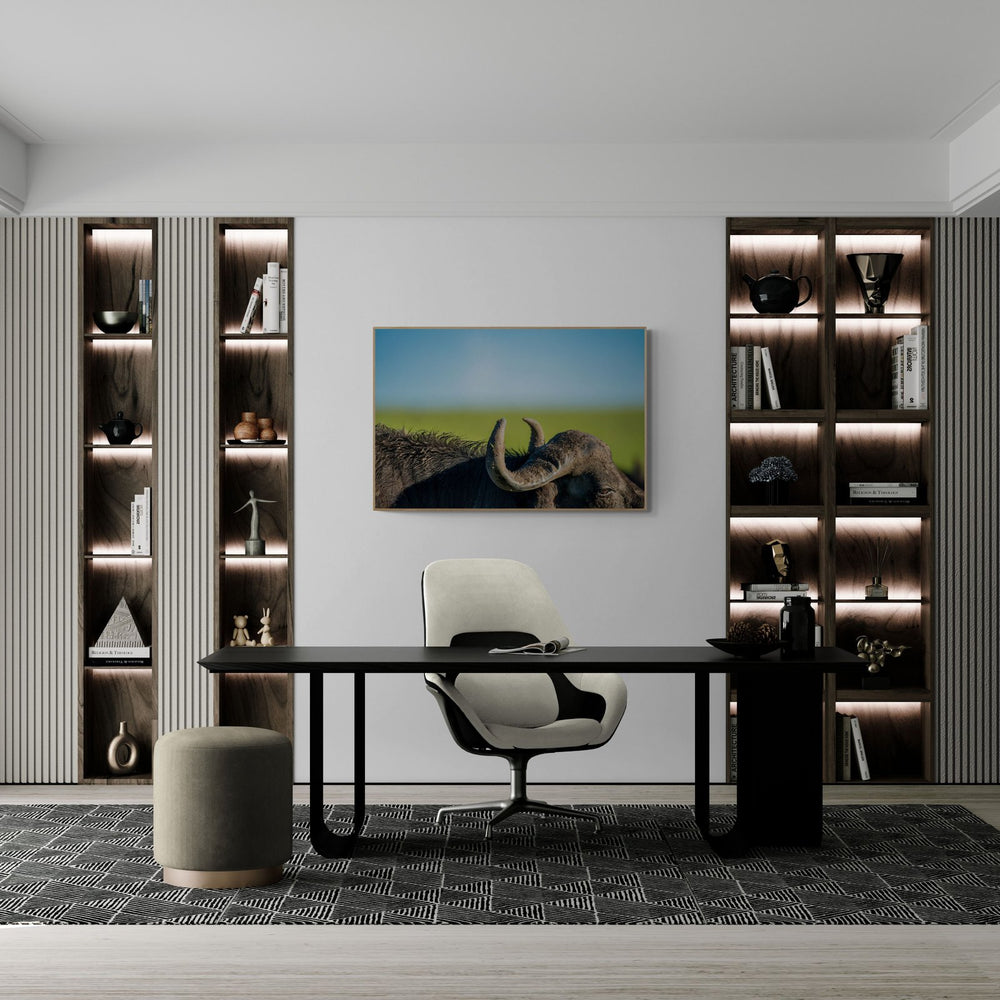 The Buffalo in a room
