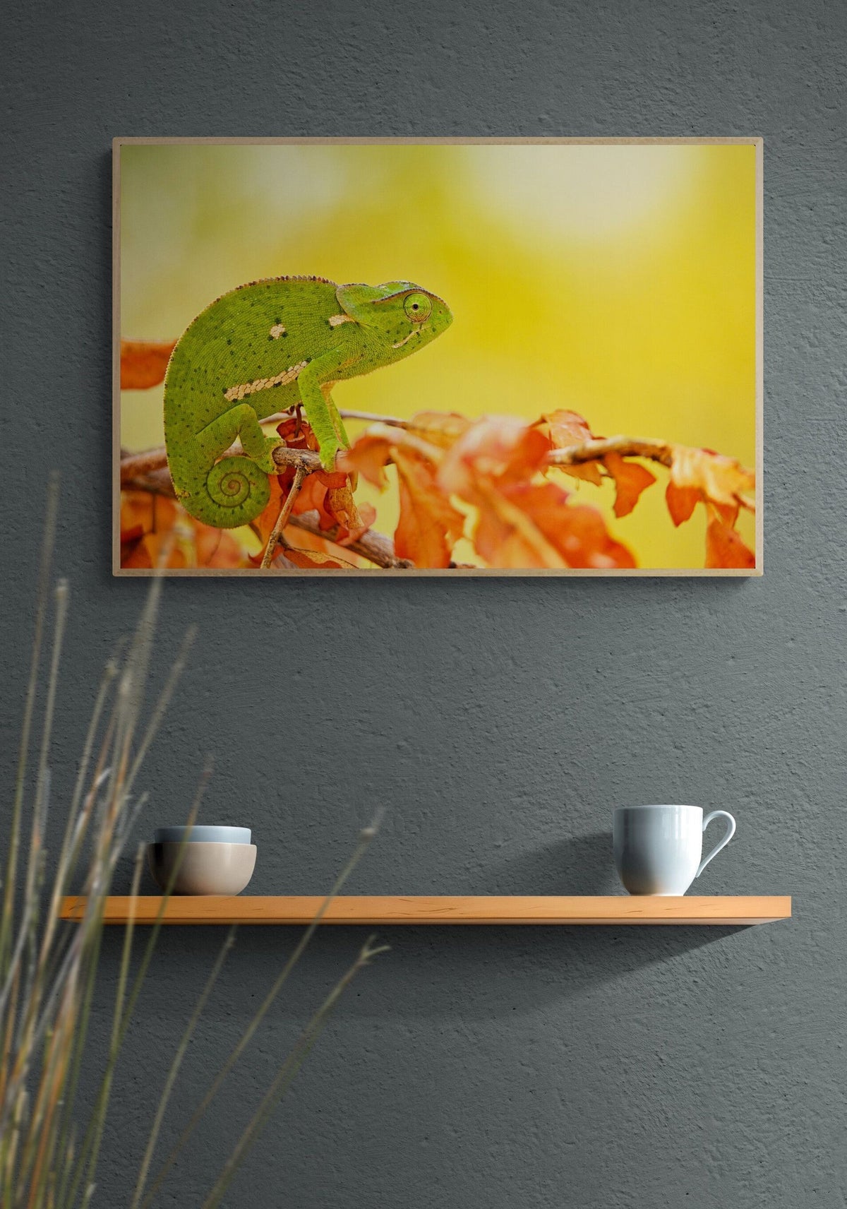 Chameleon art print — The Chameleon by Shannon Wild — view 2 in a room