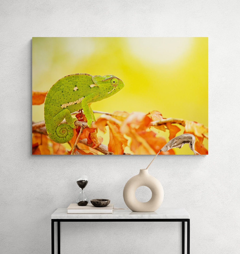 Chameleon art print — The Chameleon by Shannon Wild — view 4 in a room