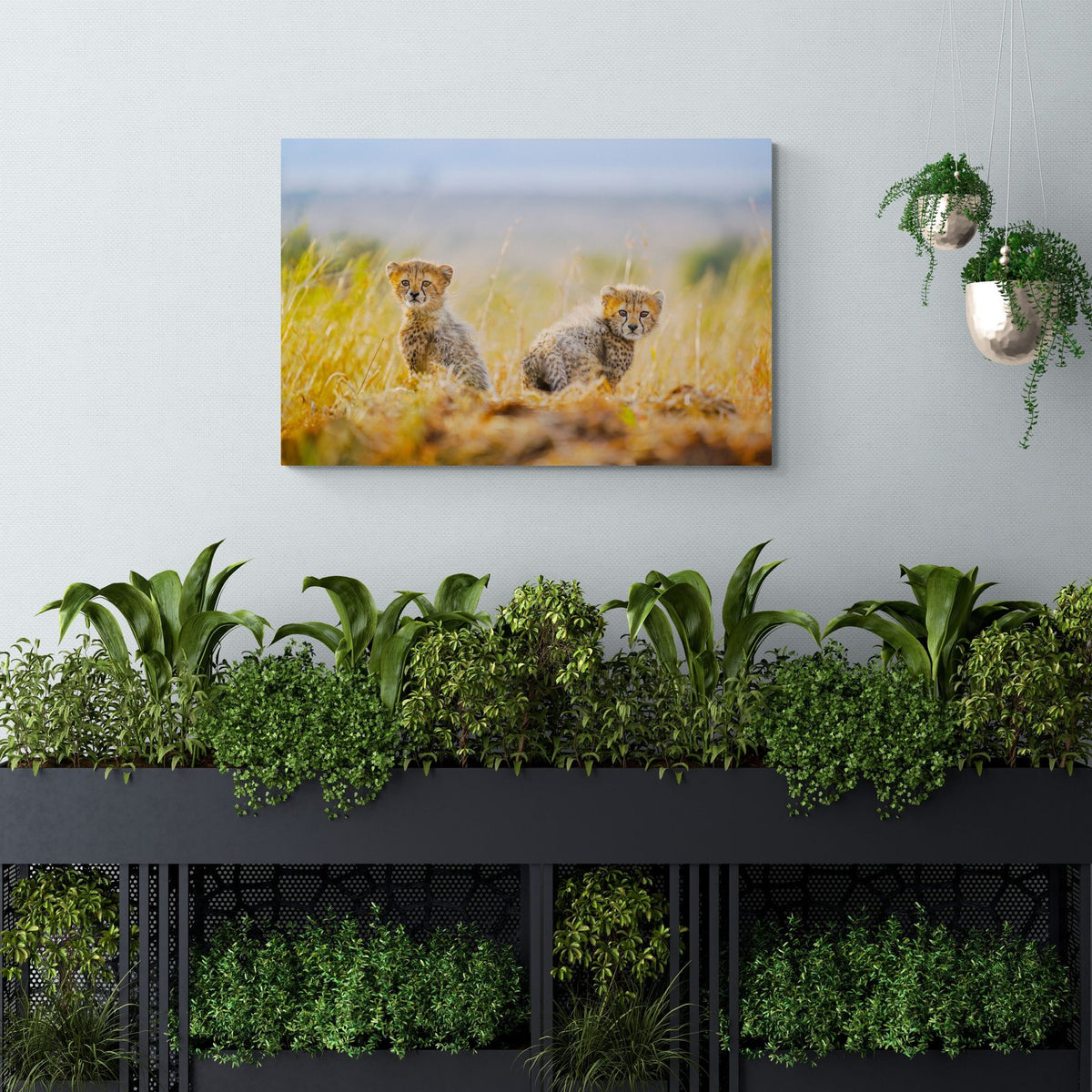 Cheetah art print — The Cheeky by Shannon Wild — view 2 in a room