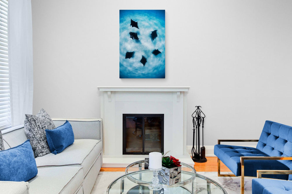 Manta ray art print — The Circle by Jake Wilton — view 4 in a room