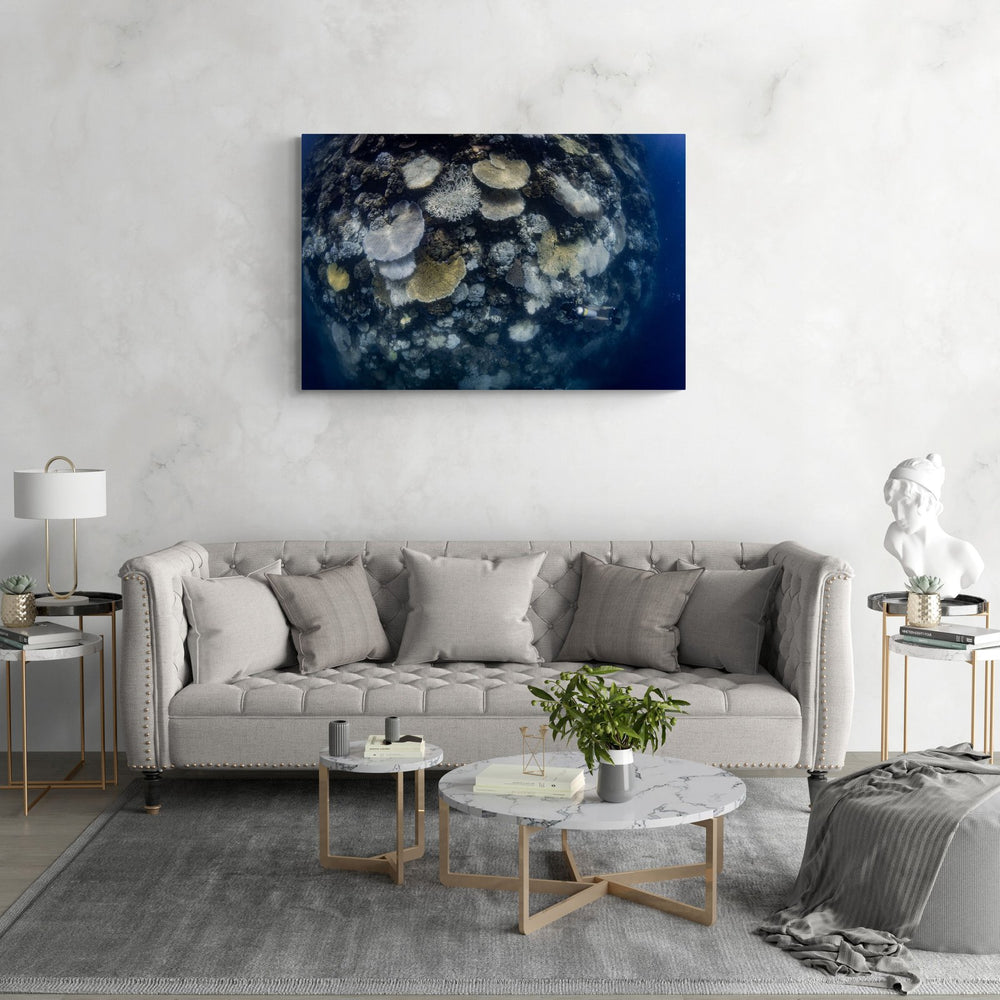 Coral art print — The Corals by Jake Wilton — view 4 in a room
