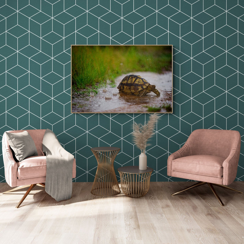 The Crossing in a room