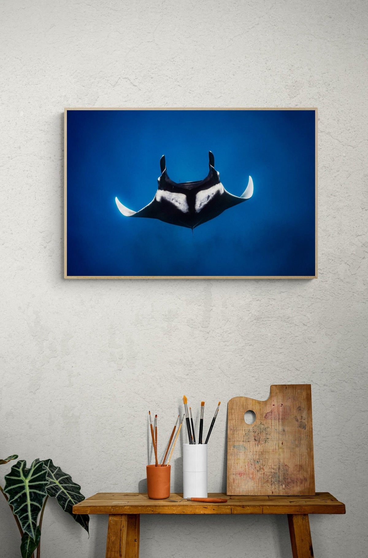 Manta ray art print — The Curve by Ollie Clarke — view 2 in a room