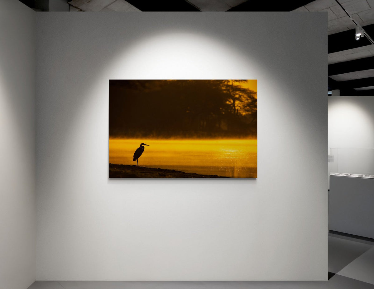 The Dawn — limited-edition art print by Shannon Wild — view 2 in a room