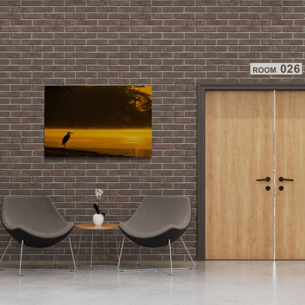 The Dawn in a room