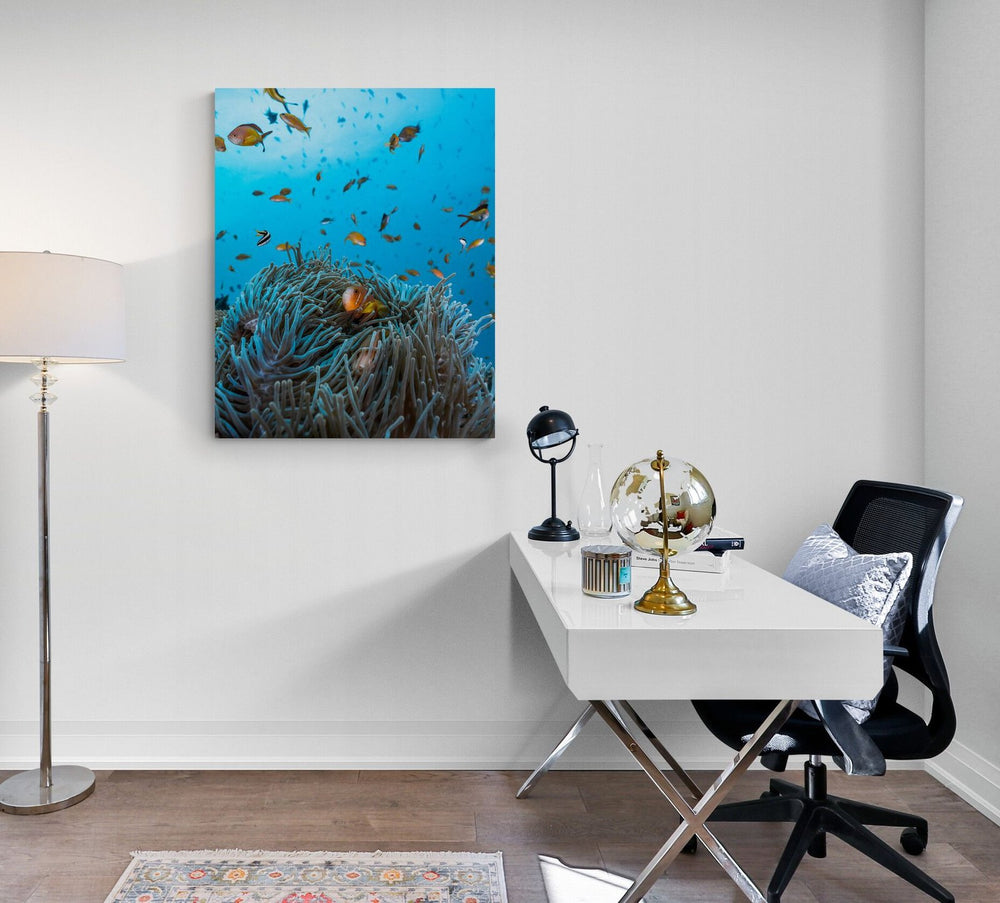 Clownfish art print — The Day Crew by Jake Wilton — view 4 in a room