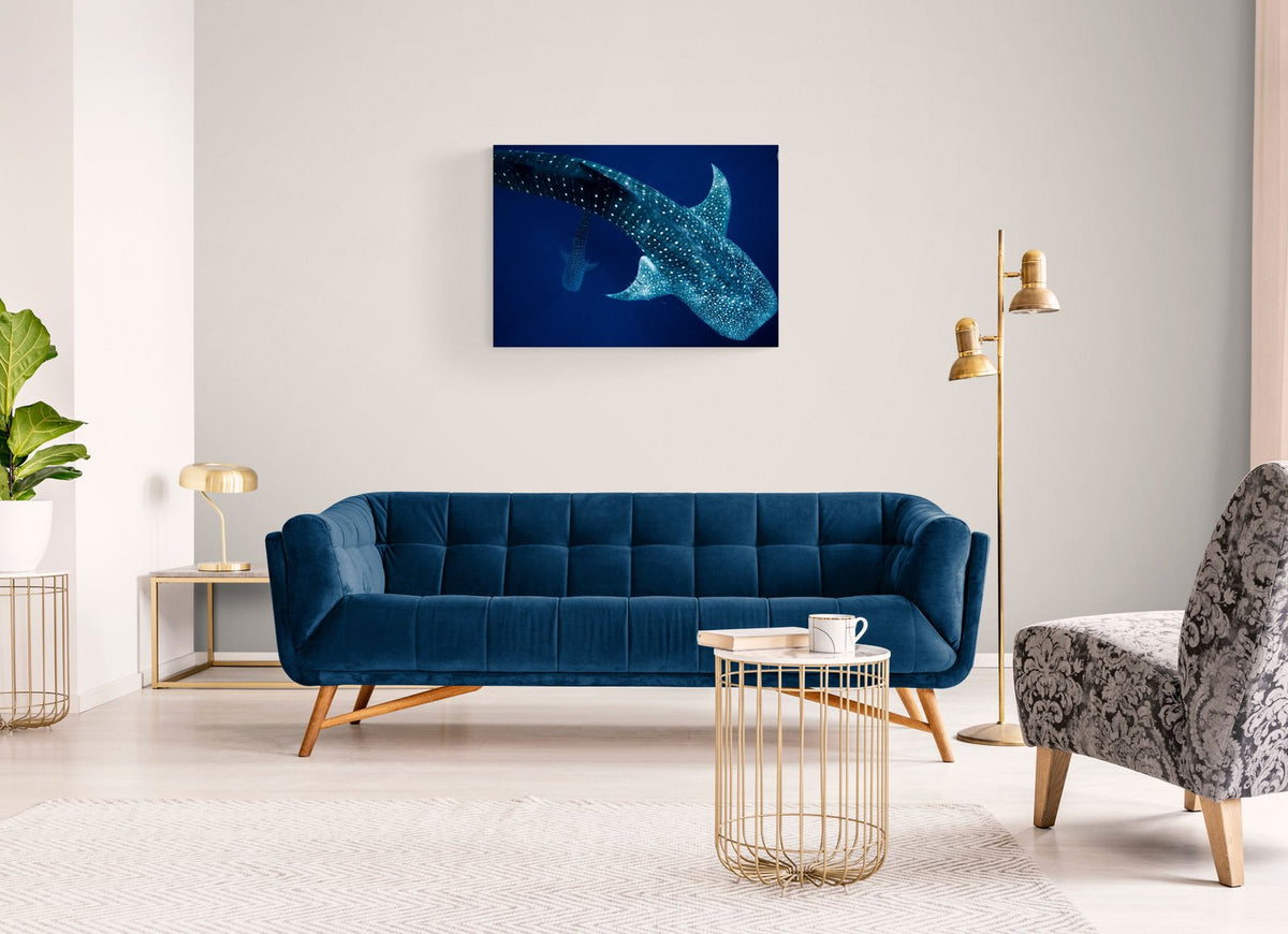 The Depths — limited-edition art print by Paul Hilton — view 2 in a room