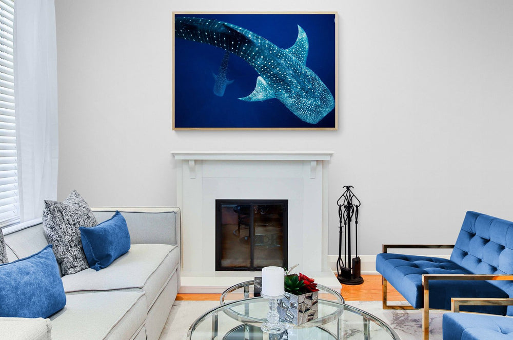 The Depths in a room