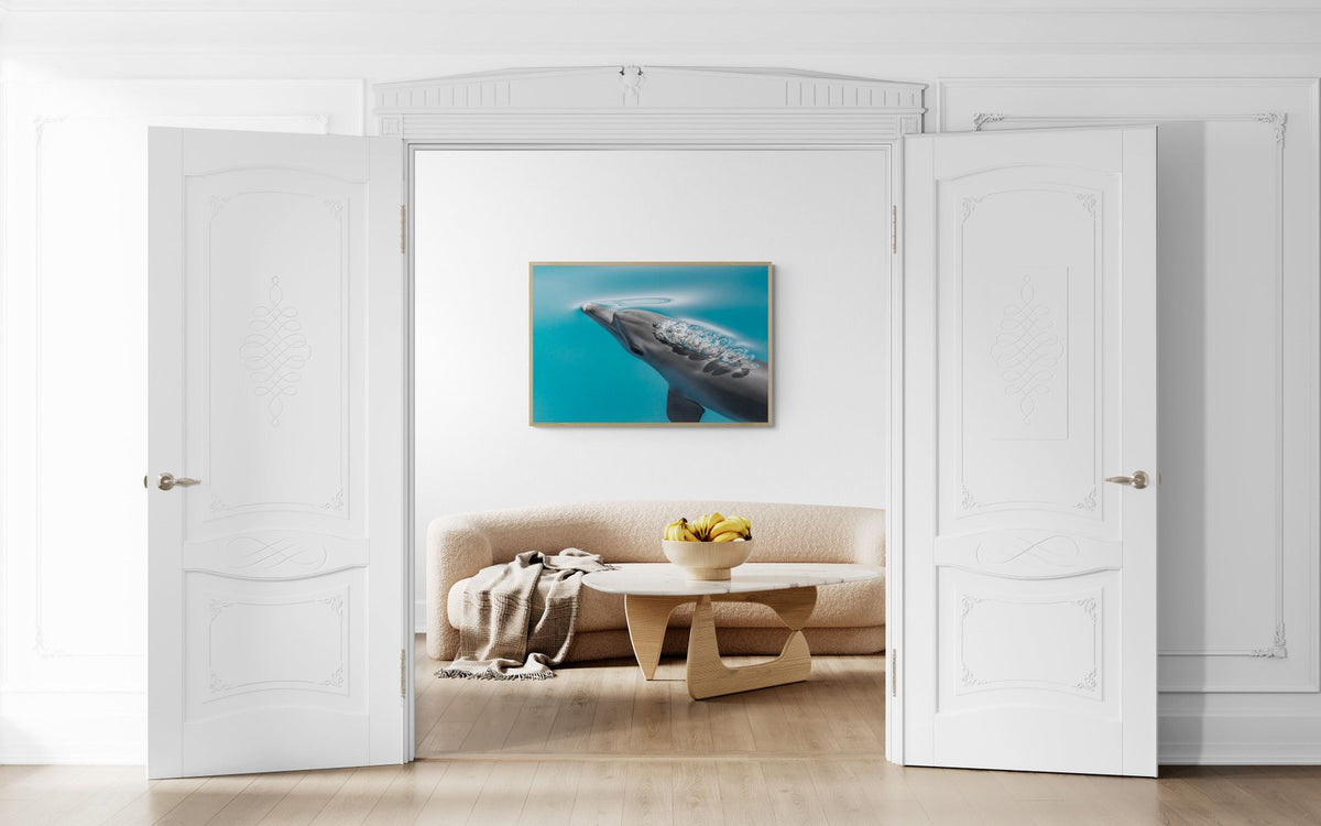 Dolphin art print — The Dolphin Bubble by Jake Wilton — view 3 in a room