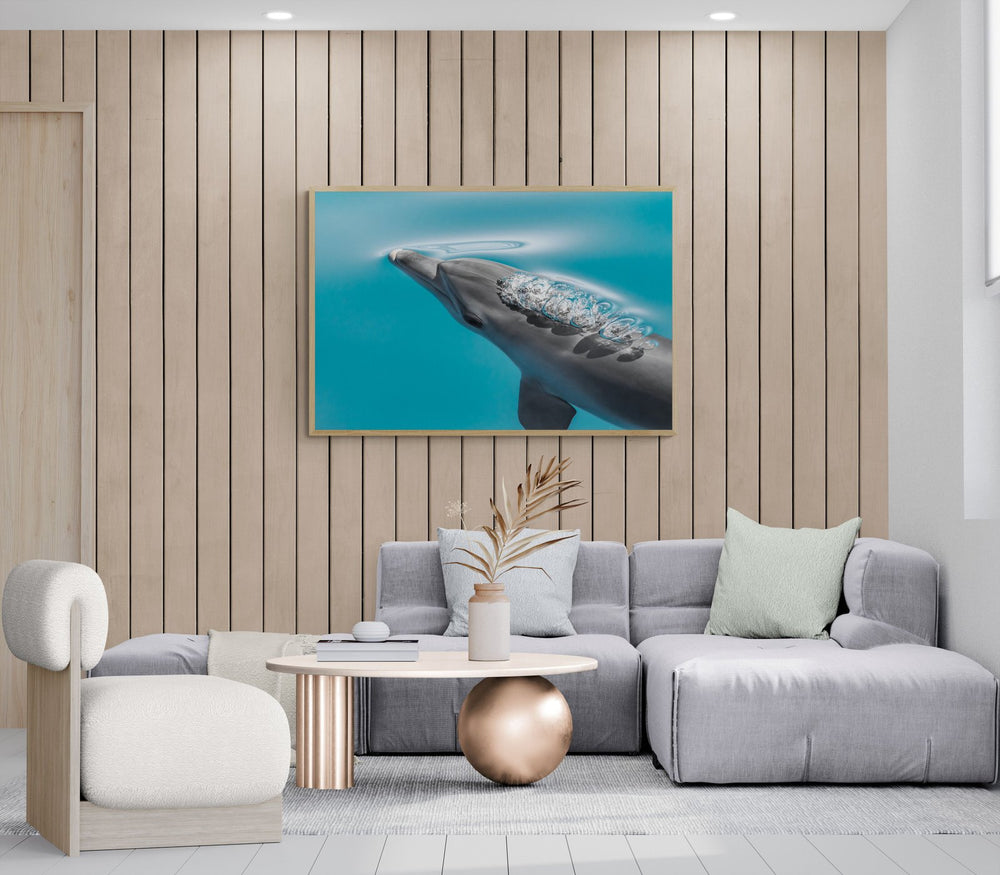 Dolphin art print — The Dolphin Bubble by Jake Wilton — view 4 in a room