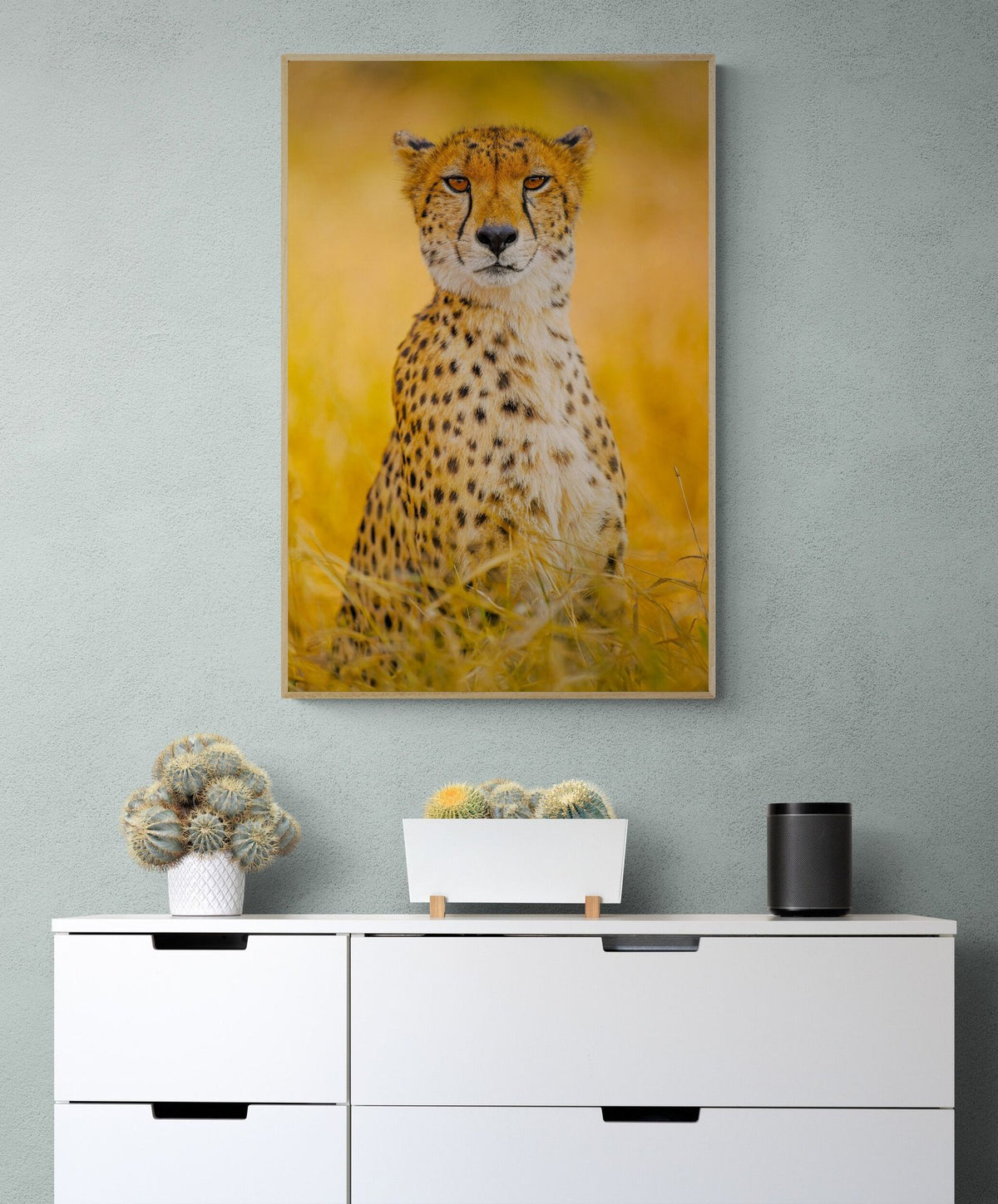 Cheetah art print — The Elegant by Shannon Wild — view 3 in a room