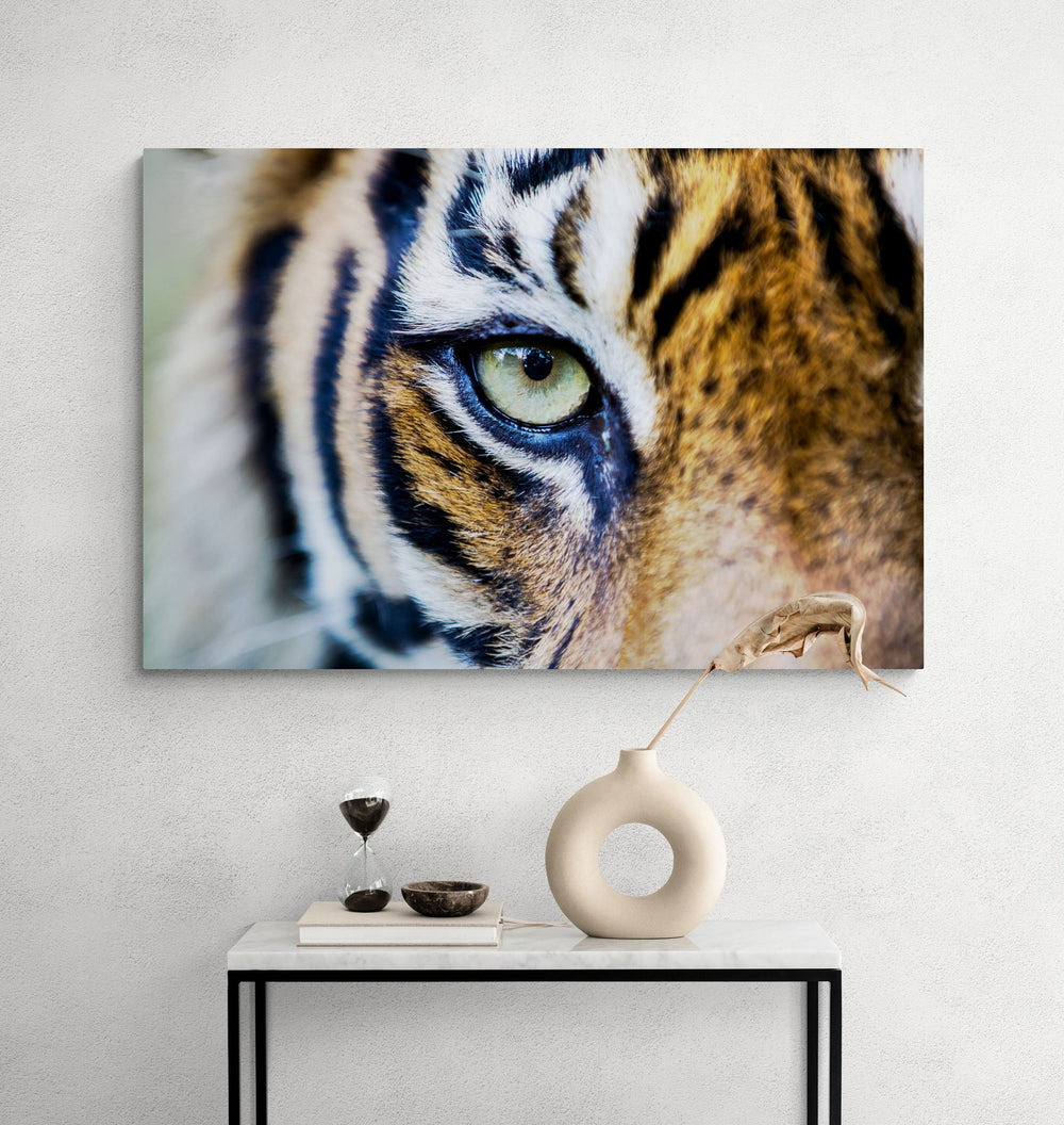 The Eye Of The Tiger in a room