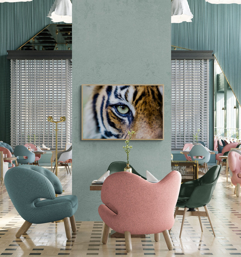 Tiger art print — The Eye Of The Tiger by Paul Hilton — view 4 in a room