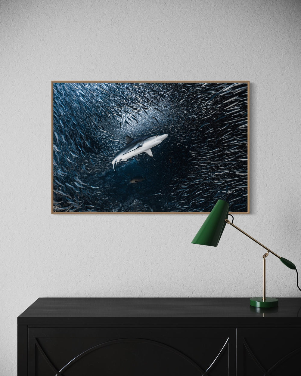 The Favorite in a room