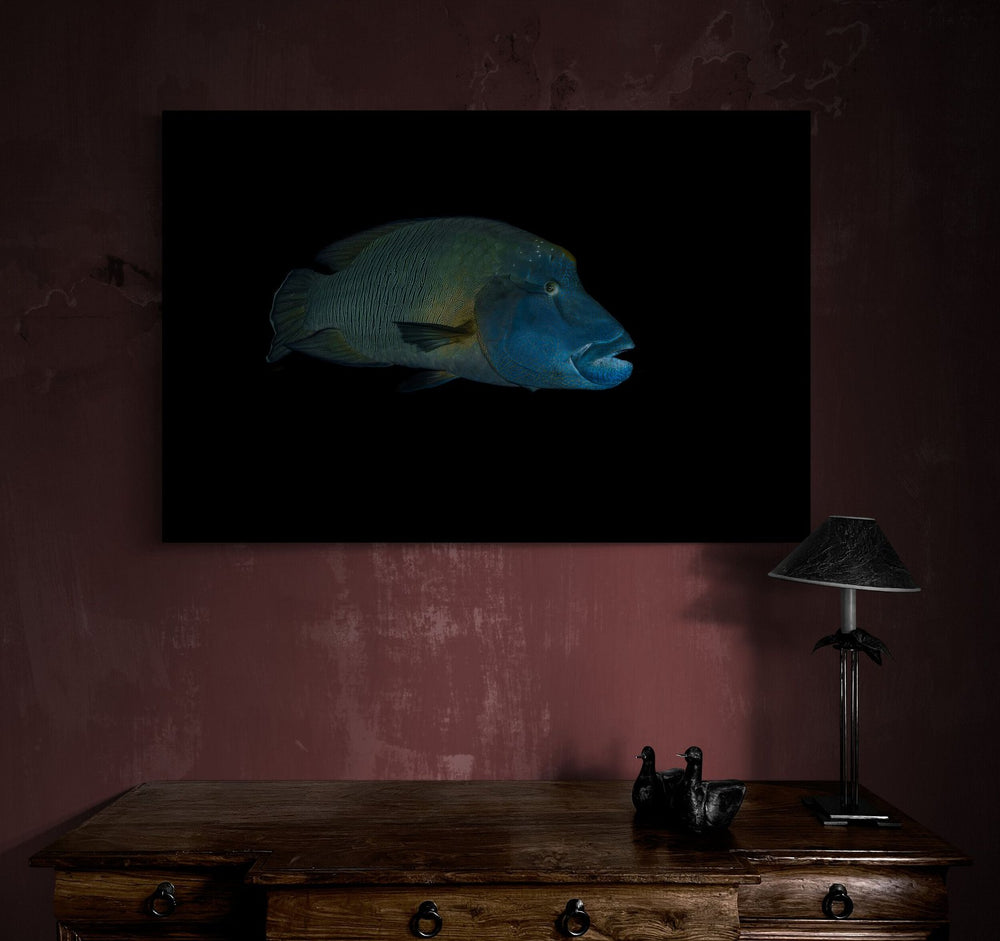 The Fish — limited-edition art print by Jake Wilton — view 4 in a room
