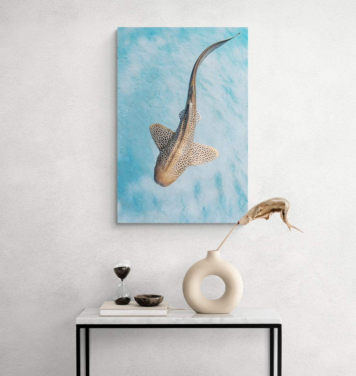 The Float in a room