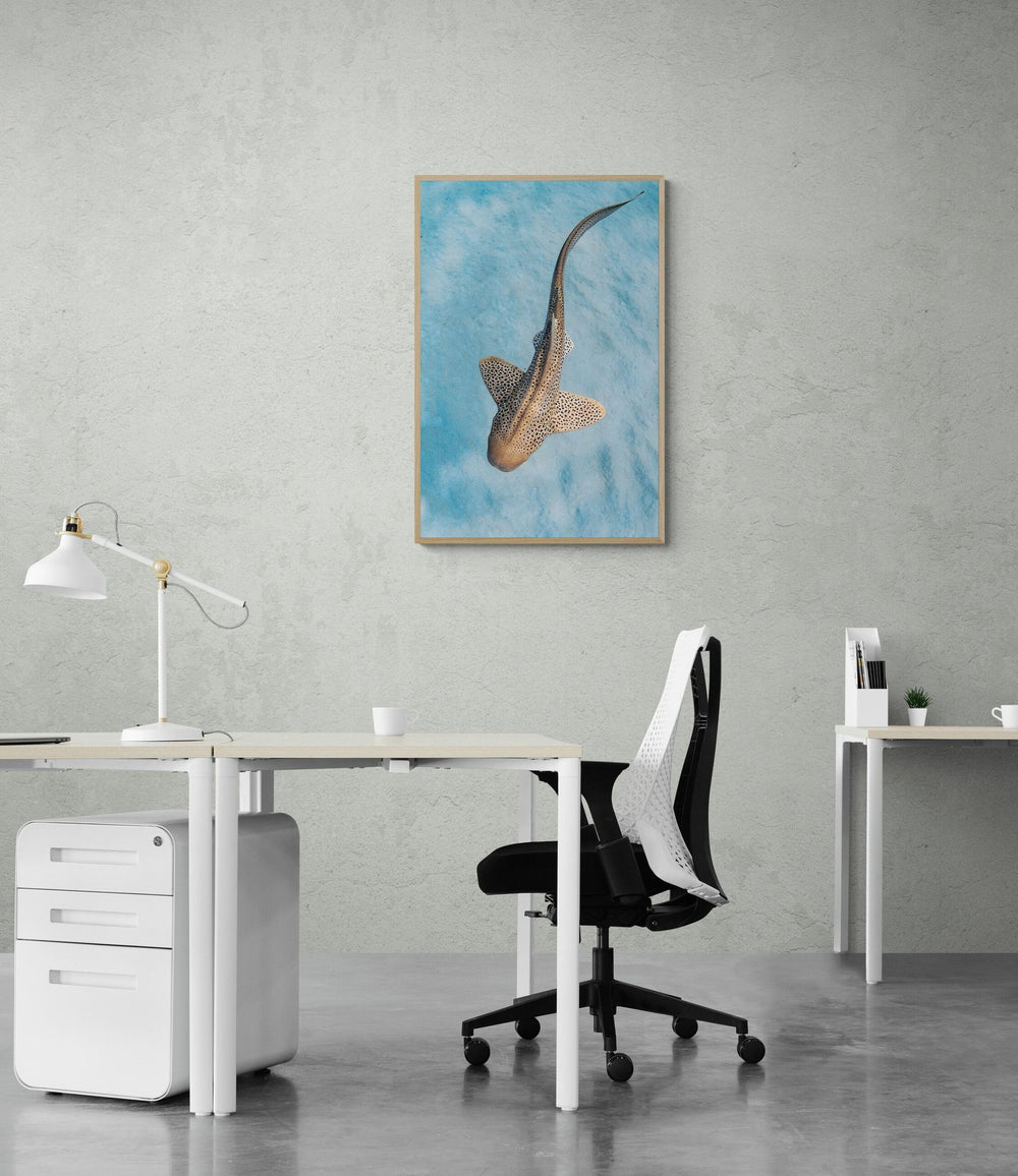 The Float in a room
