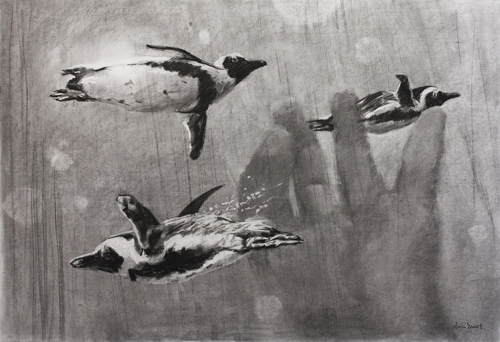 The Flying Penguins on fine art paper, framed in dark oak