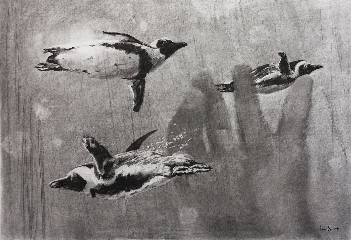 The Flying Penguins, up close