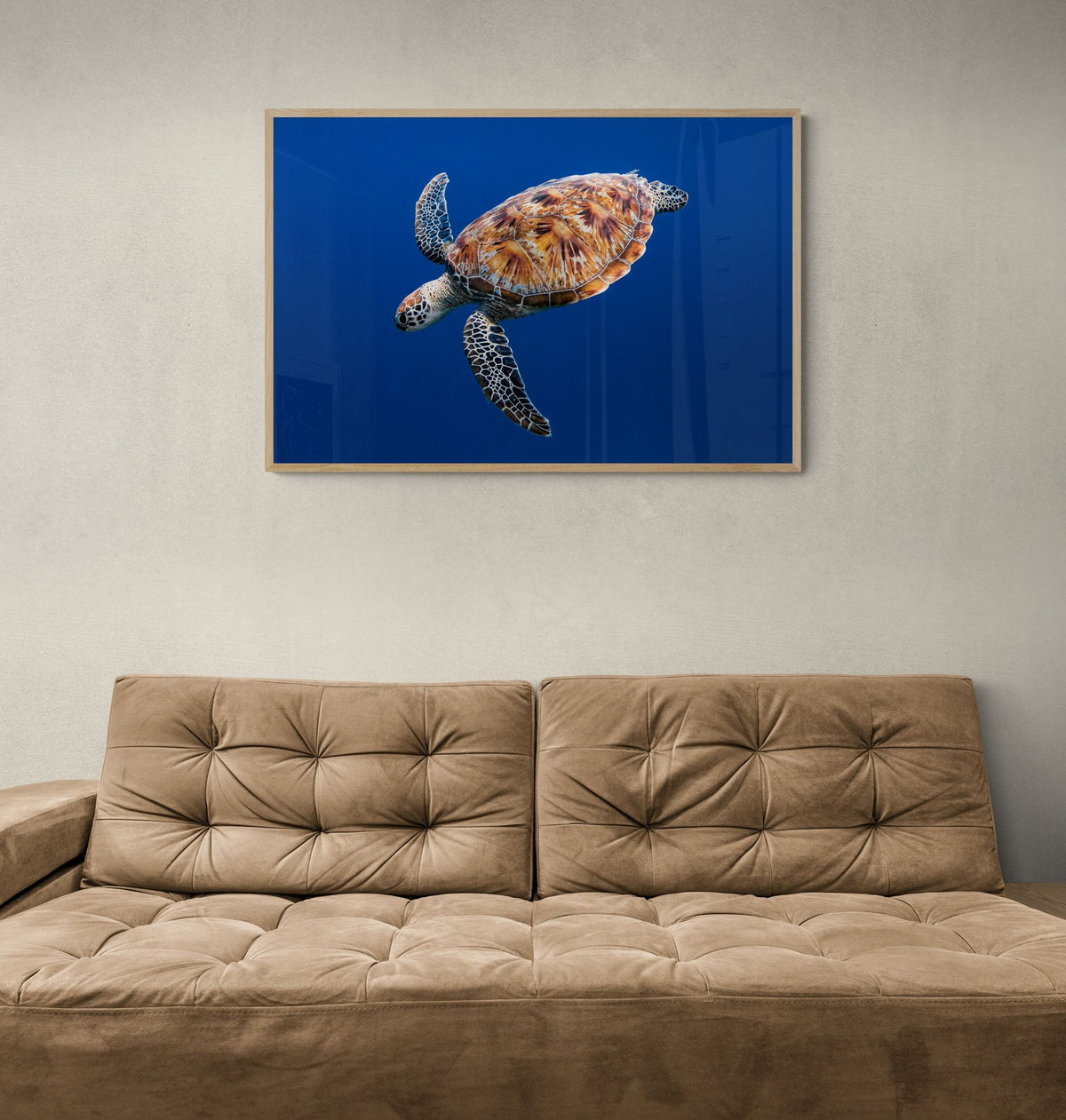 Sea turtle art print — The Free Fall by Jake Wilton — view 2 in a room