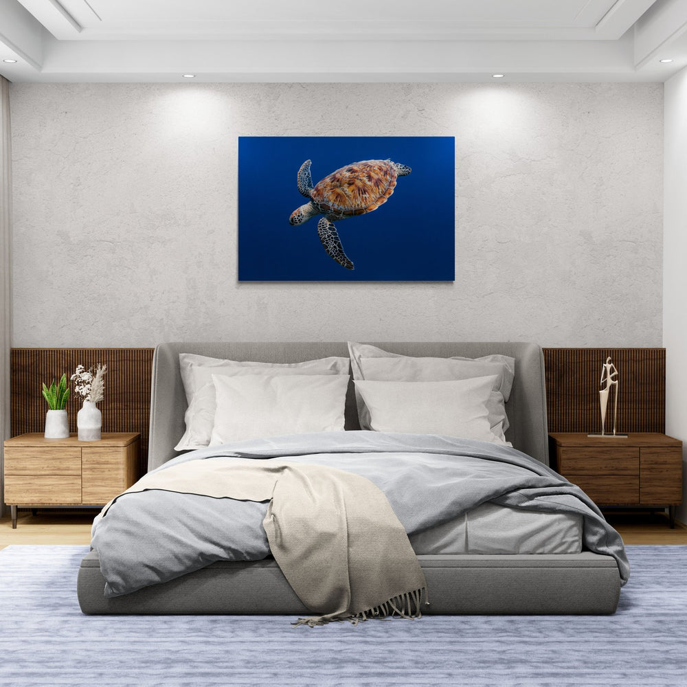 Sea turtle art print — The Free Fall by Jake Wilton — view 4 in a room