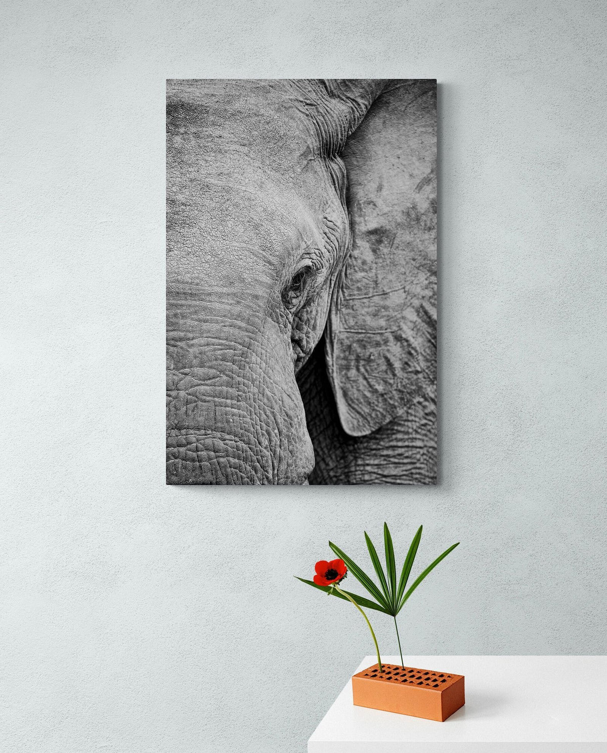Elephant art print — The Gentle by Shannon Wild — view 2 in a room