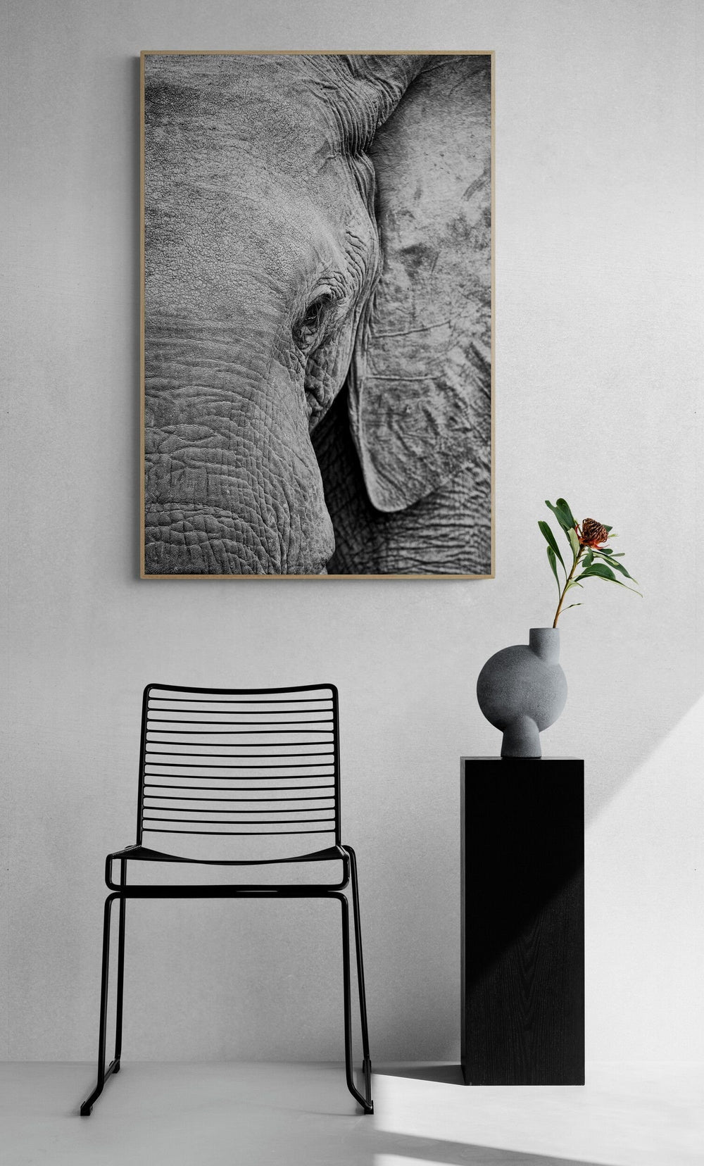 Elephant art print — The Gentle by Shannon Wild — view 4 in a room