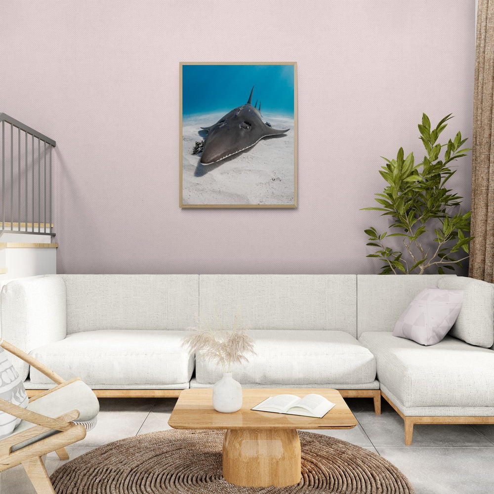 Guitarfish art print — The Guitar by Jake Wilton — view 4 in a room