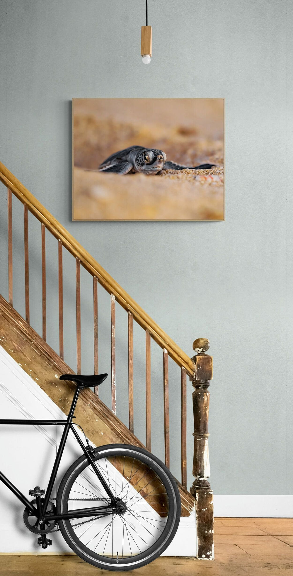 The Hatchling in a room