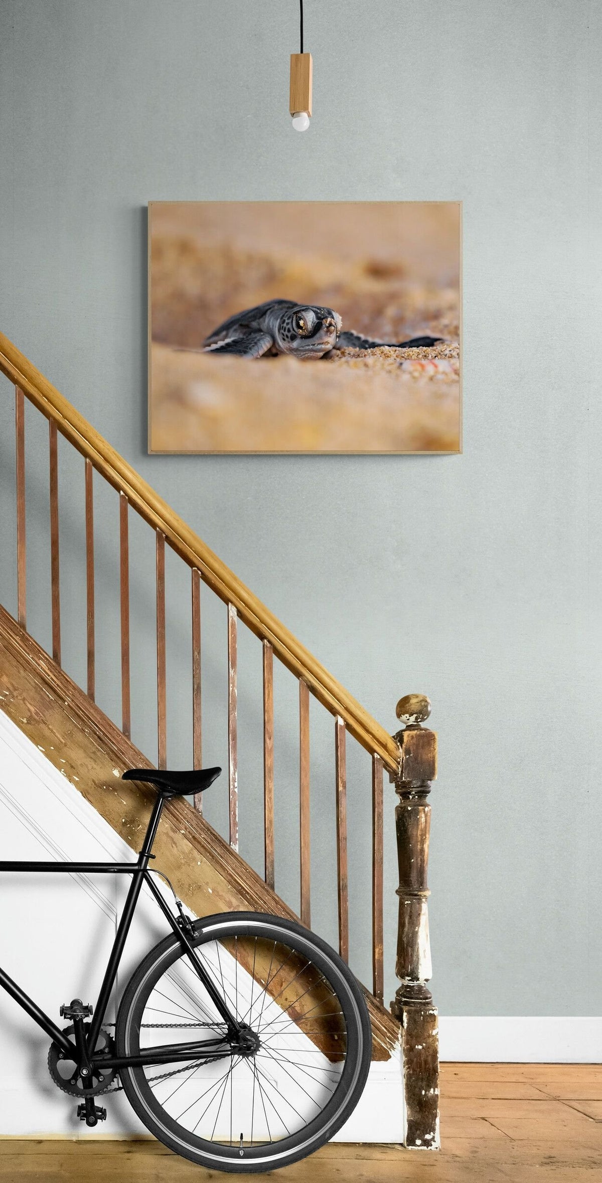 Sea turtle art print — The Hatchling by Ollie Clarke — view 3 in a room