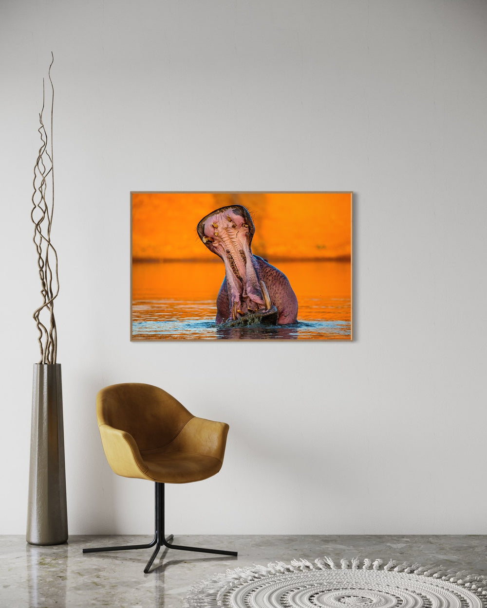 The Hippo in a room