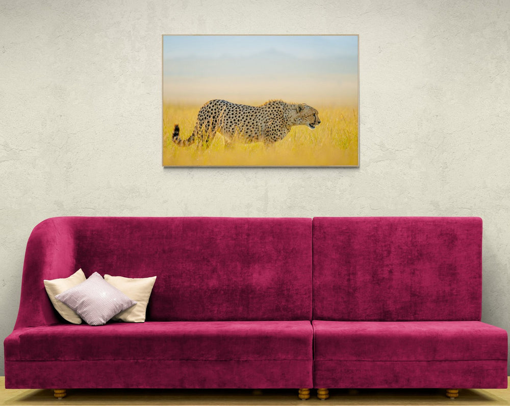 Cheetah art print — The Hunting by Shannon Wild — view 4 in a room