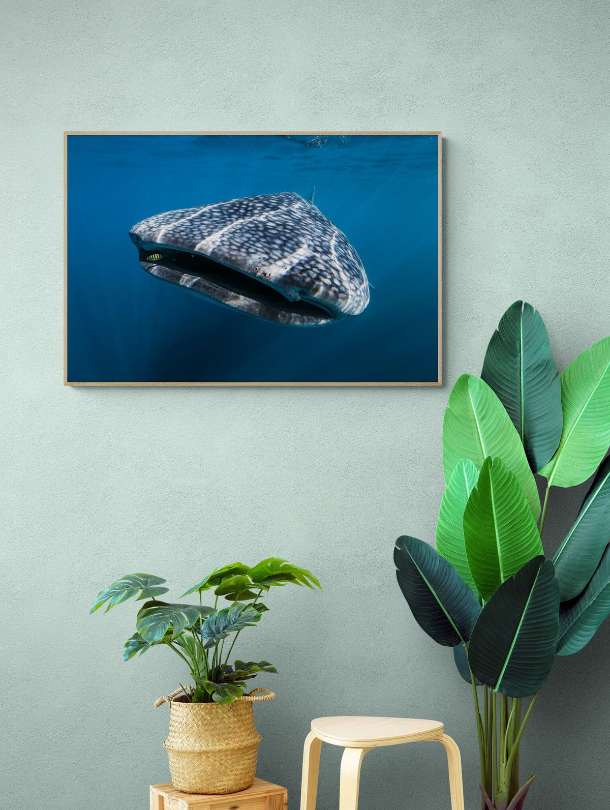 The Kiss — limited-edition art print by Anouska Freedman — view 3 in a room