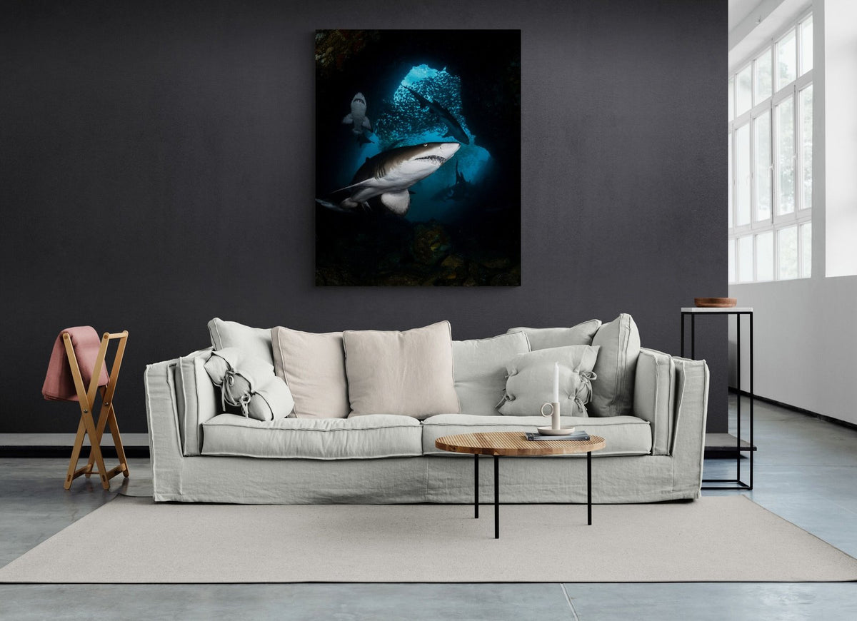 Shark art print — The Lair by Jake Wilton — view 3 in a room