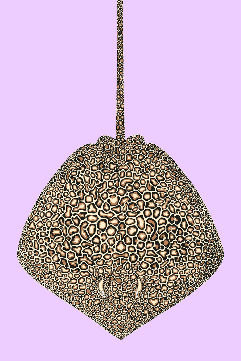 The Leopard Whipray