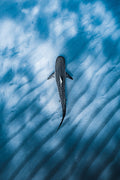 Underwater
