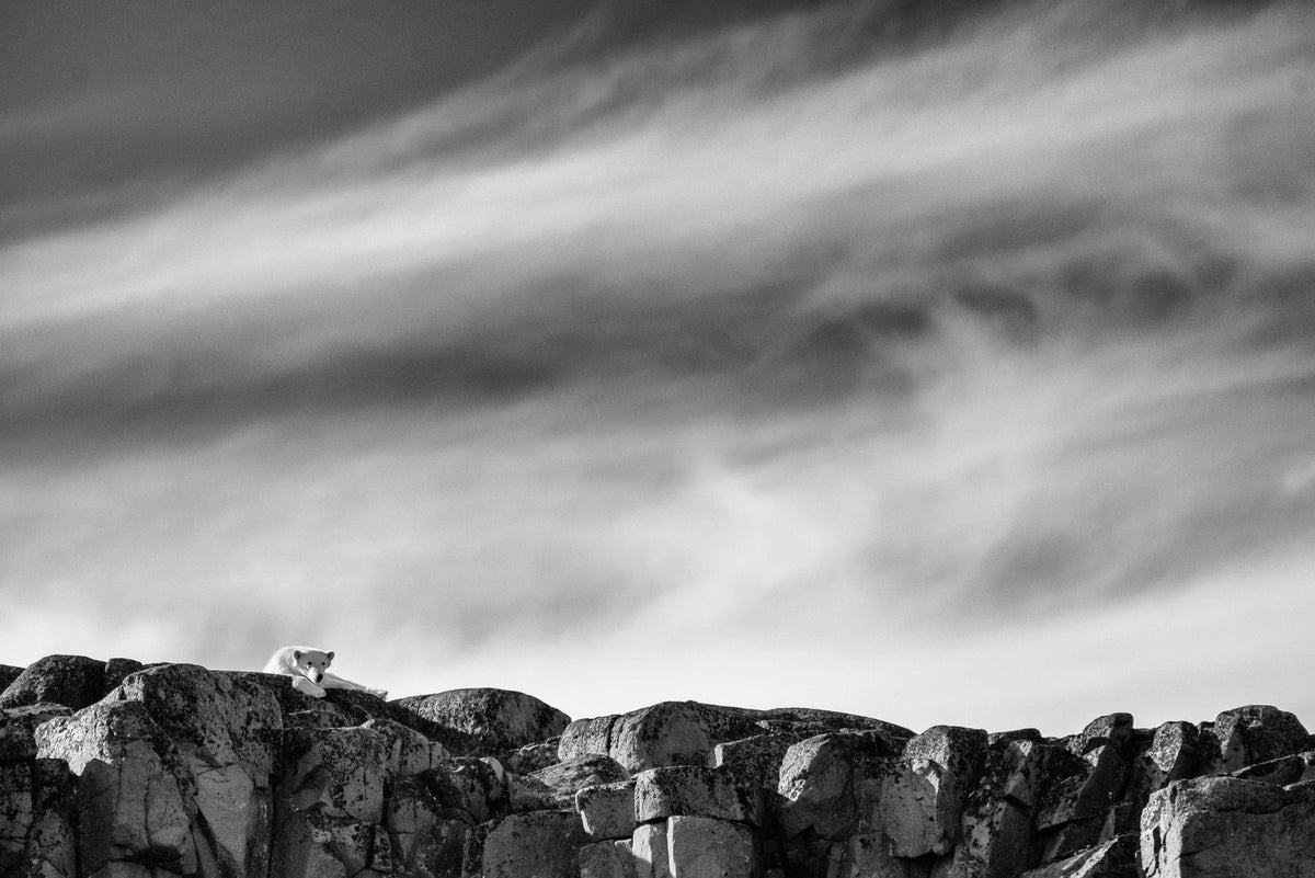 The lookout, up close