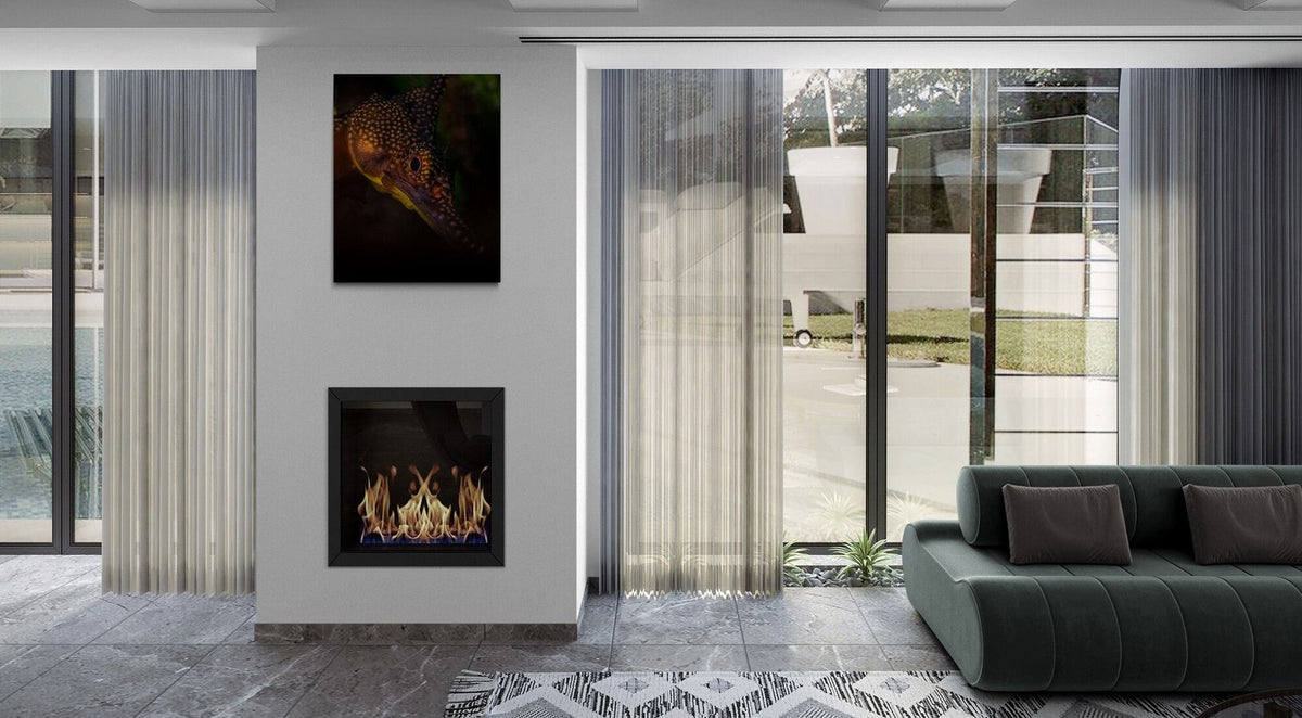 The Majestic — limited-edition art print by Jake Wilton — view 2 in a room