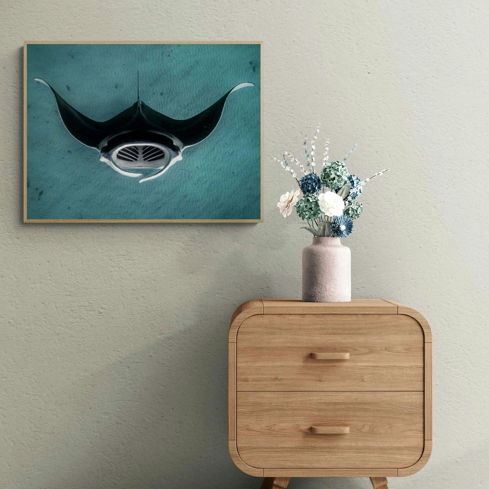 Manta ray art print — The Manta by Anouska Freedman — view 4 in a room