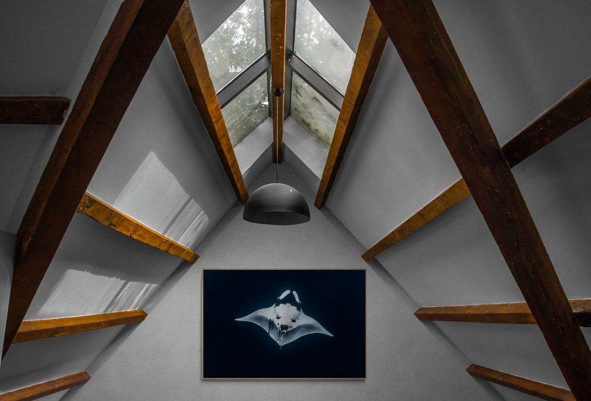 Manta ray art print — The Oceanic Stream by Ollie Clarke — view 3 in a room