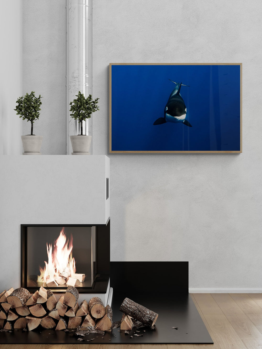 Orca art print — The Orca by Jake Wilton — view 4 in a room