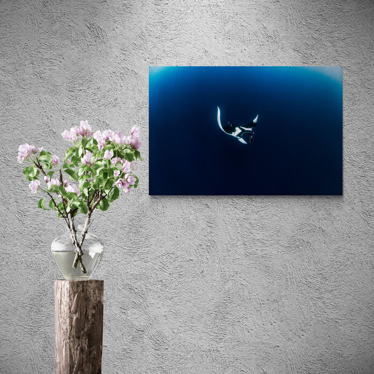 Manta ray art print — The Ray Lay by Ollie Clarke — view 2 in a room