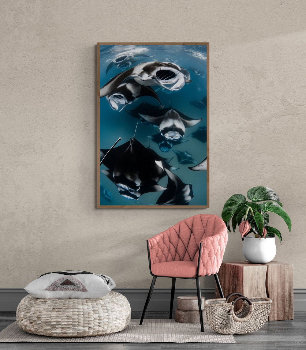 Manta ray art print — The Rays by Jake Wilton — view 4 in a room